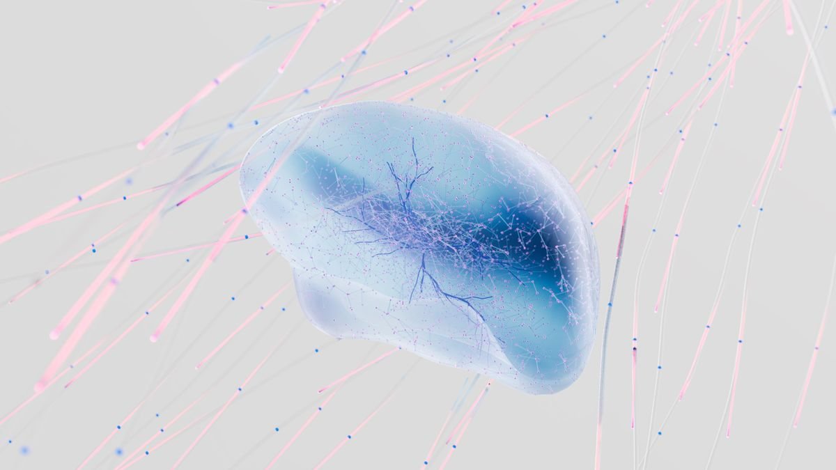 Neuroplasticidade: Como o Teu Cérebro Reescreve Crenças Limitantes